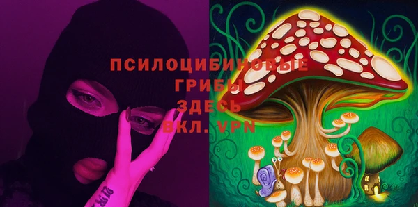 a pvp Арсеньев