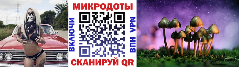 цены наркотик  Спасск-Дальний  Псилоцибиновые грибы MAGIC MUSHROOMS 